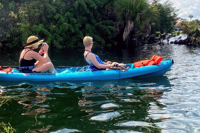 Full Day Tandem Kayak Rental For Two People In Crystal River, Florida - The Practicalities: Costs and Convenience