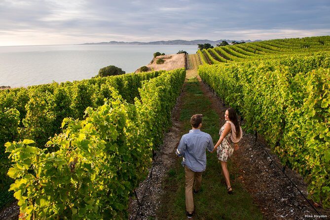 Full-Day Taste the Wines of Marlborough Tour - Discover the Full-Day Taste the Wines of Marlborough Tour
