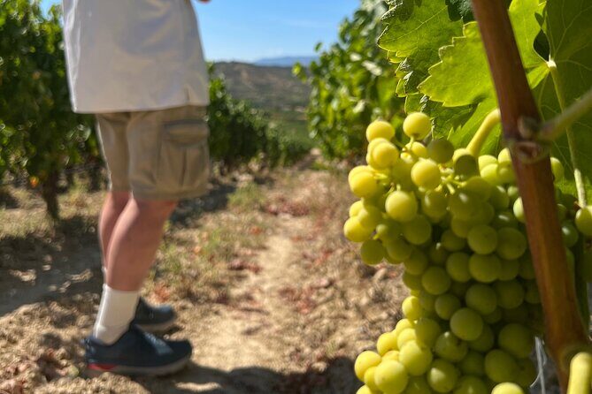 Full Day Tasting The Unknown Rioja Wine Region - Final Thoughts