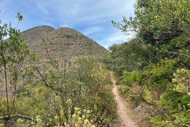 Full Day Teotitlan Del Valle Village Private Tour - What You Can Expect from the Tour