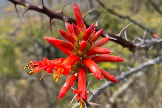 Full Day Teotitlan Del Valle Village Private Tour - Final Thoughts: Is This Tour Right for You?