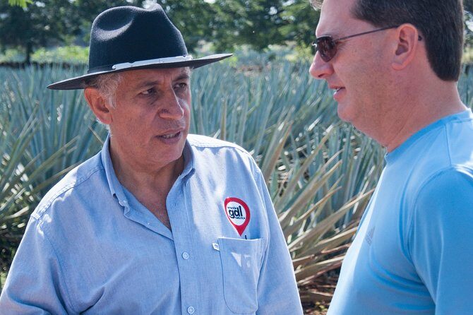 Full-Day Tequila Tour from Guadalajara - The Full Experience: What to Expect