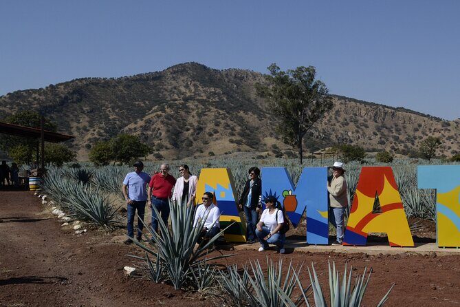 full day Tequila tour visiting artisanal distillery and downtown. - Key Points