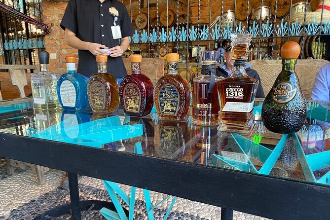full day Tequila tour visiting artisanal distillery and downtown. - What Travelers Say