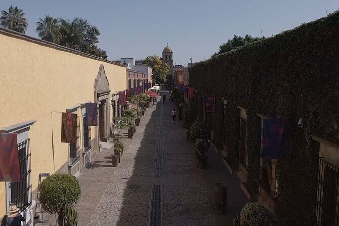 full day Tequila tour visiting artisanal distillery and downtown. - Final Thoughts