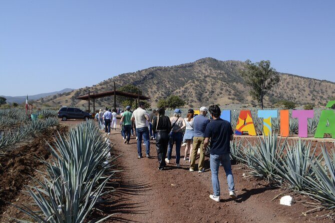 full day Tequila tour visiting artisanal distillery and downtown. - FAQ
