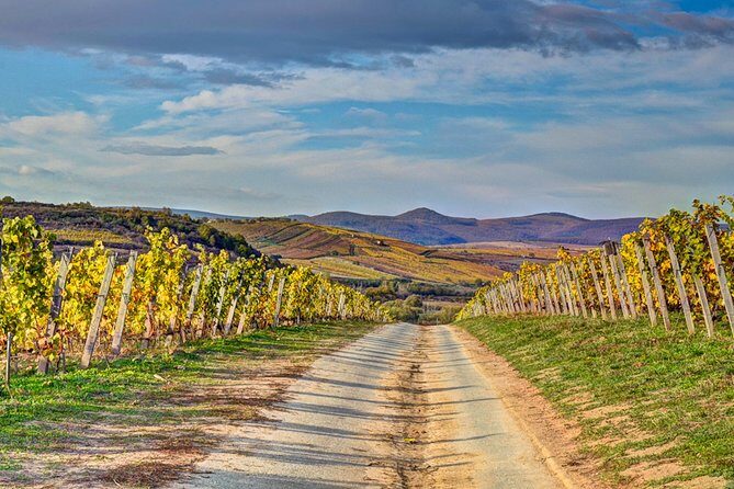 Full-Day Tokaj UNESCO World Heritage Site Private Wine Tour - Experience the Full-Day Tokaj UNESCO World Heritage Site Private Wine Tour