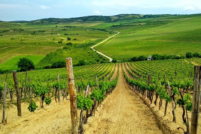 Full-Day Tokaj UNESCO World Heritage Site Private Wine Tour - Key Points