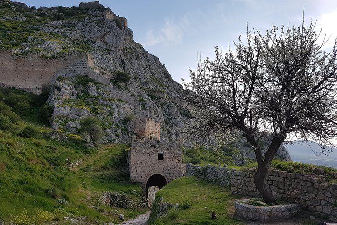 Full day tour Ancient Corinth with wine or olive oil tasting - Who Would Enjoy This Tour?