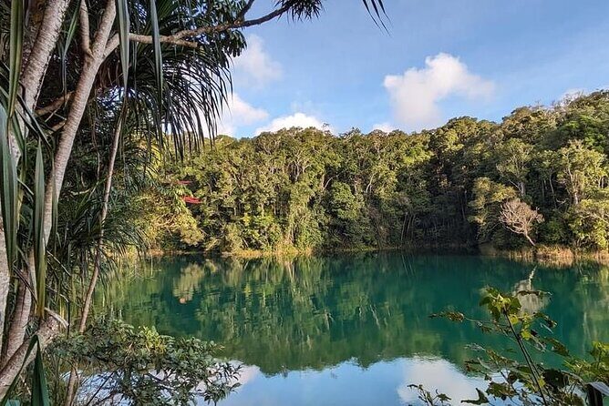 Full-day Tour at the Atherton Tablelands with Food Tasting - Exploring the Atherton Tablelands: A Full-Day Food and Nature Tour