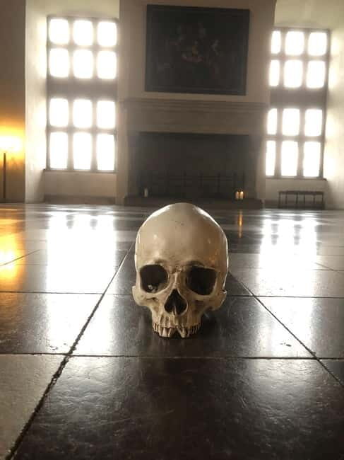 Full-Day Tour; Castle, Palace, Cathedral and Viking Ships - Why This Tour Stands Out