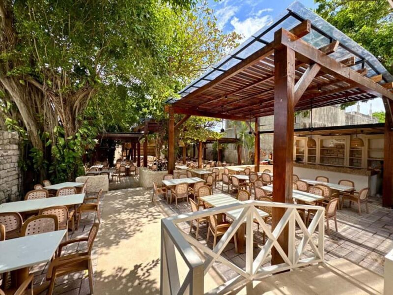 Full-Day Tour Cozumel in Catamaran with Snorkel & Lunch - Final Thoughts