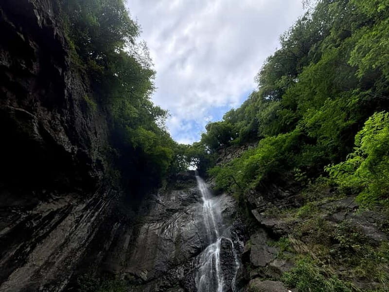 Full Day Tour from Batumi to Waterfalls - Key Points