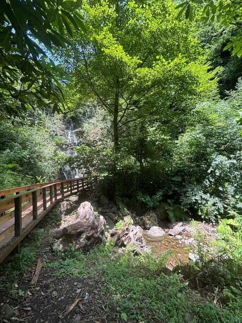 Full Day Tour from Batumi to Waterfalls - Stop 2: Gonio Fortress