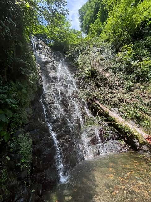 Full Day Tour from Batumi to Waterfalls - Real Traveler Insights