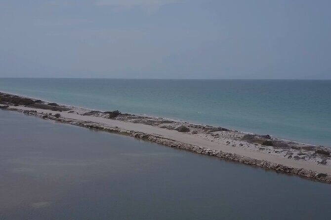 Full Day Tour from Tulum to Rio Lagartos - An In-Depth Look at the Full Day Tour from Tulum to Rio Lagartos