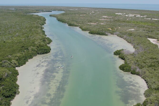 Full Day Tour from Tulum to Rio Lagartos - Final Thoughts