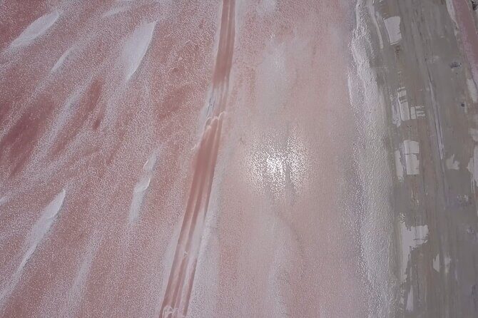 Full Day Tour from Tulum to Rio Lagartos - FAQ