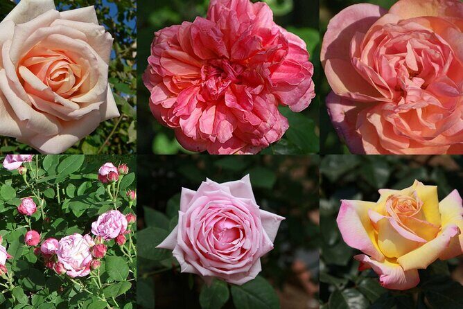 Full day tour Medieval Villages Grasse Gourdon Tourettes St Paul - FAQ