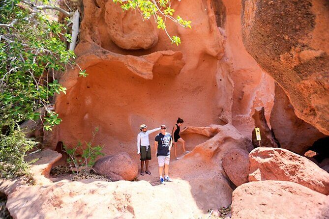 Full-Day Tour Nature Experience at Isla Espiritu Santo! Sea Lions - Who This Tour Is Perfect For