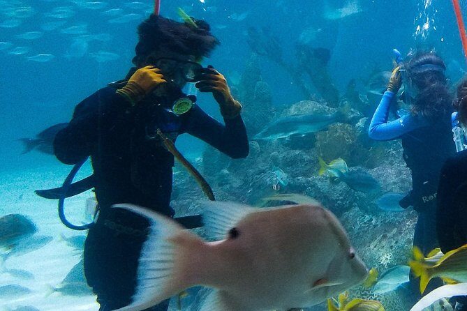 Full-Day Tour of Florida Keys Including Aquarium Encounters from Key West - Practical Details & Value