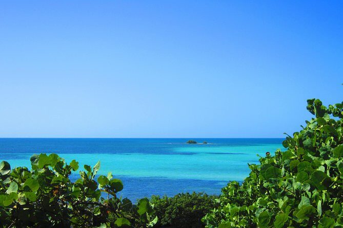 Full-Day Tour of Florida Keys Including Aquarium Encounters from Key West - FAQ