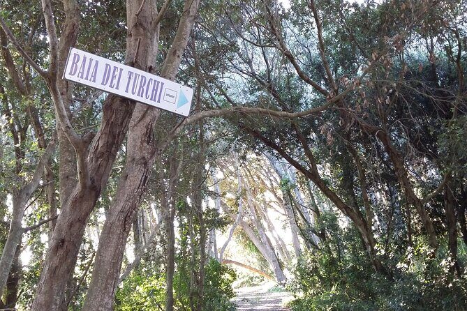 Full Day Tour of Otranto City and its Amazing Seacoast from Lecce - Who Should Consider This Tour?