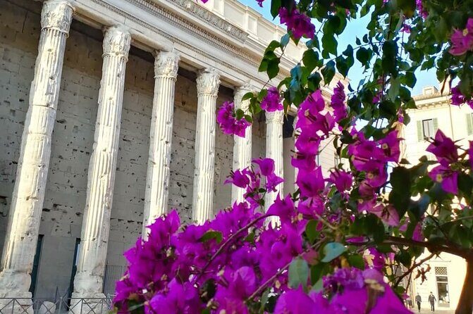 Full-Day Tour of Rome departing from the Port of Civitavecchia. - Final Thoughts