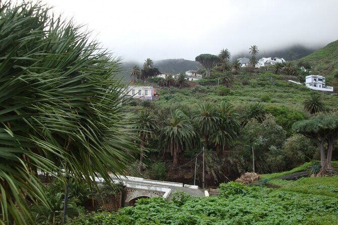 Full Day Tour of Santa Cruz and San Cristóbal de La Laguna - Key Points