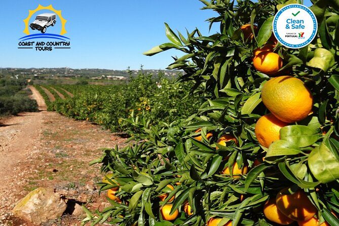 Full day tour of the Algarve with Jeep safari - Final Thoughts