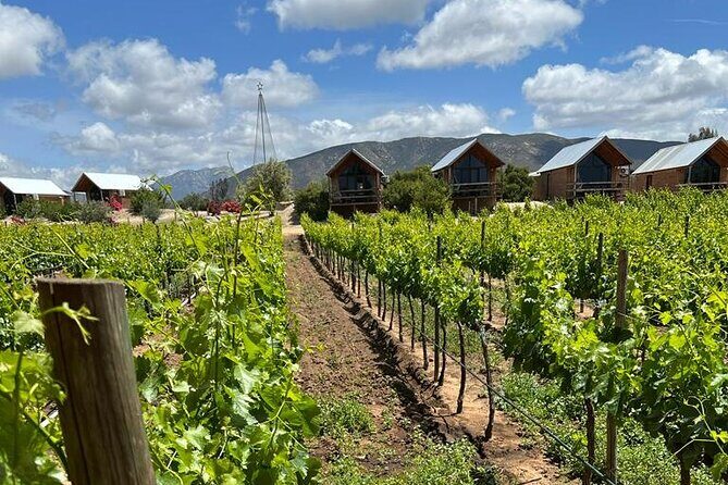 Full Day Tour on the Wine Route, Valle de Guadalupe - The Practical Side: How It Works