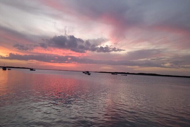 Full Day Tour Río Lagartos with Pickup from Mérida 7 AM - Key Points