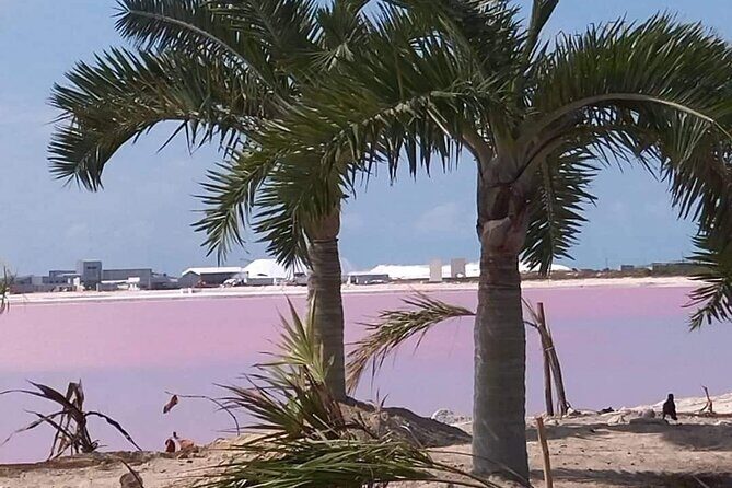 Full Day Tour Río Lagartos with Pickup from Mérida 7 AM - Final Thoughts