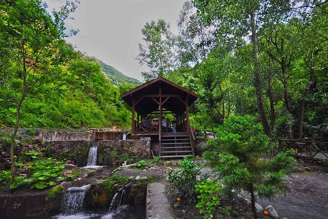 Full Day Tour Sapanca and Masukiye from Istanbul - Breaking Down the Experience: What To Expect