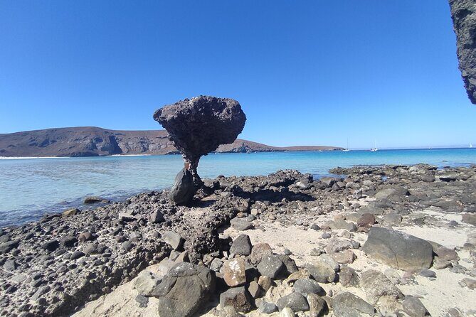 Full Day Tour to Balandra Beach, Todos Santos and La Paz - Who Is This Tour Best For?