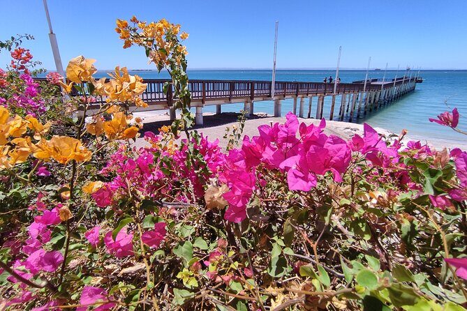 Full Day Tour to Balandra Beach, Todos Santos and La Paz - FAQ