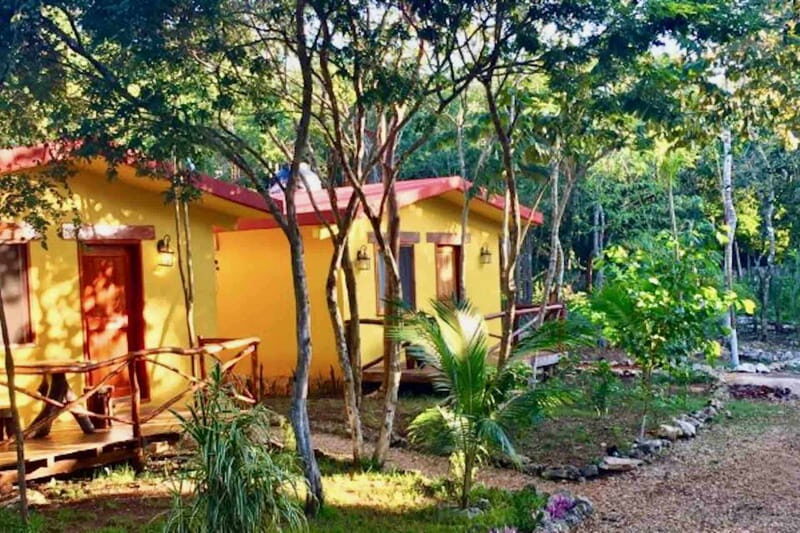 Full Day Tour to Cobá Ruins, Punta Laguna & Cenote - Practicalities and Considerations