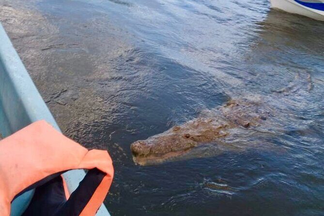 Full Day Tour to Coloradas & Rio Lagartos - FAQs About the Tour