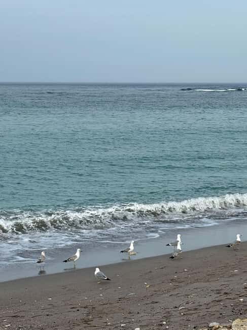 Full-Day Tour to Constana from Bucharest (12 Hours) - Key Points