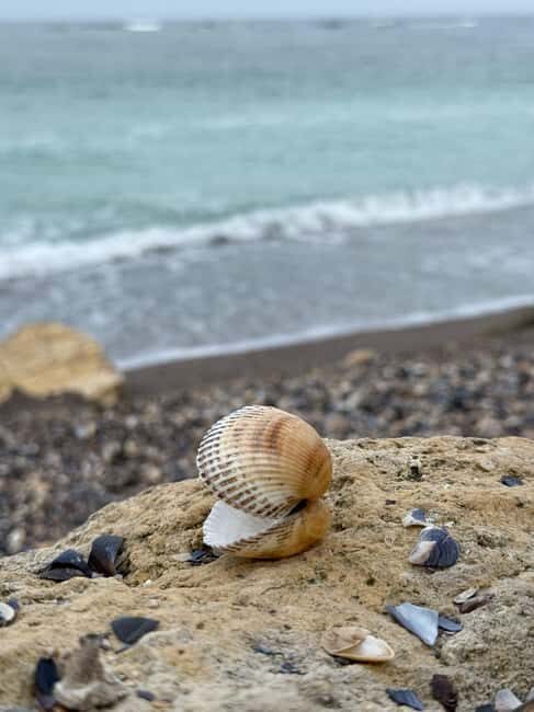 Full-Day Tour to Constana from Bucharest (12 Hours) - FAQ