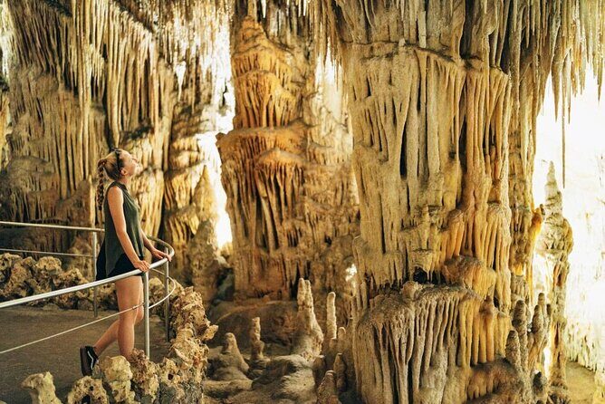 Full-day Tour to Drach Caves and Portocristo Town - Key Points