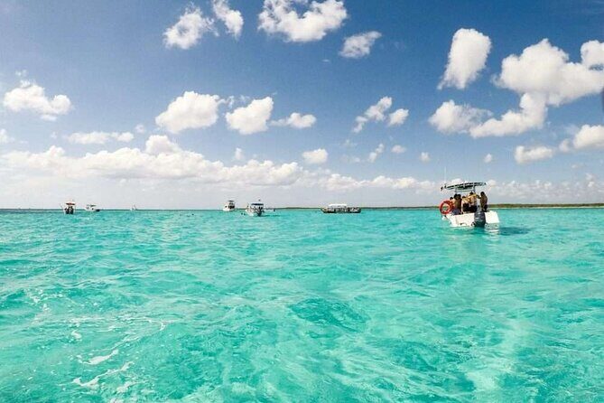 Full day tour to El Cielo in Cozumel Snorkeling and Lunch - Who Should Consider This Tour?