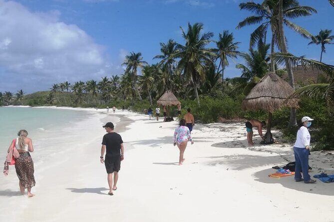 Full Day Tour to Isla Contoy and Isla Mujeres from Cancun - The Sum Up