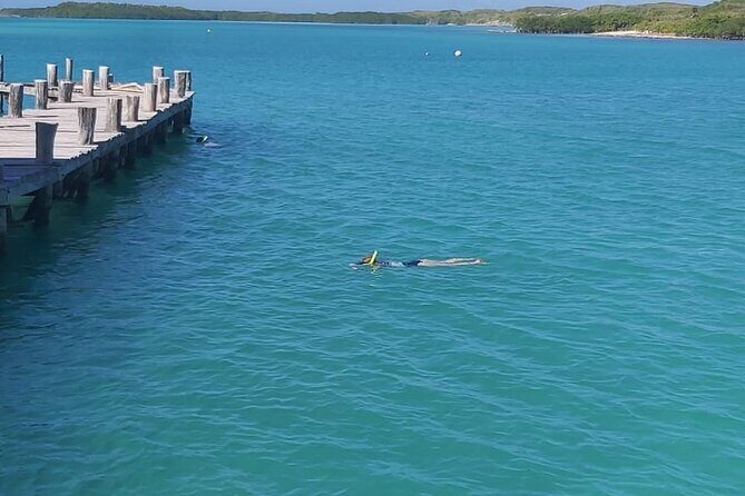 Full Day Tour to Isla Contoy and Isla Mujeres from Cancun - FAQ