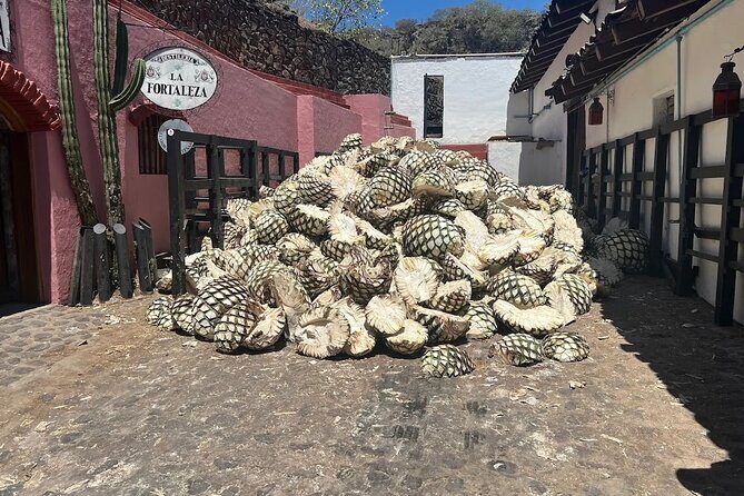 Full-Day Tour to La Fortaleza Distillery and Cantaritos - A Closer Look at the Tour Experience