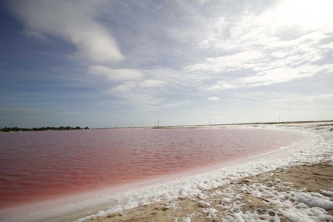 Full-Day Tour to Las Coloradas Pink Paradise in Yucatan and Rio Lagartos. - Key Points