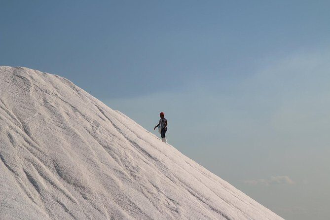 Full-Day Tour to Las Coloradas Pink Paradise in Yucatan and Rio Lagartos. - Who Should Consider This Tour?