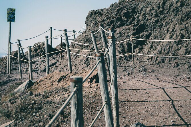 Full Day Tour to Pompeii, Vesuvius and Wine Tasting - FAQs