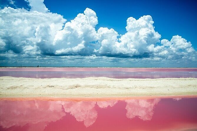 Full day tour to Rio Lagartos and Las Coloradas from Riviera Maya - Introduction