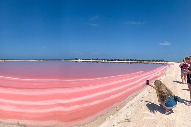 Full day tour to Rio Lagartos and Las Coloradas from Riviera Maya - Key Points